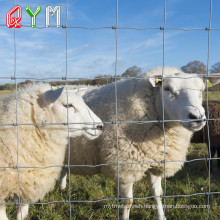 Grassland Cattle Horse Cow Animal Farm Wire Mesh Fence with Y T Post